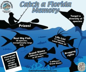 Florida Saltwater Angler Recognition infographic